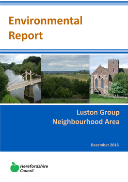 Luston Group Environmental Report (December 2016) ______