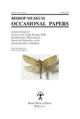 OCCASIONAL PAPERS a New Species of Endoclita C