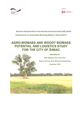 Agro-Biomass and Woody Biomass Potential and Logistics Study for the City of Šabac