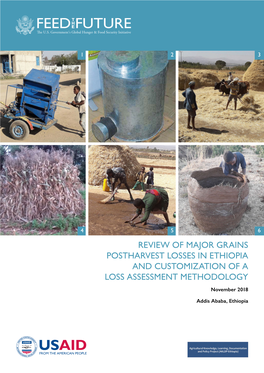 Review of Major Grains Postharvest Losses in Ethiopia and Customization of a Loss Assessment Methodology