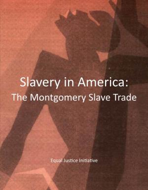 Slavery Brochure