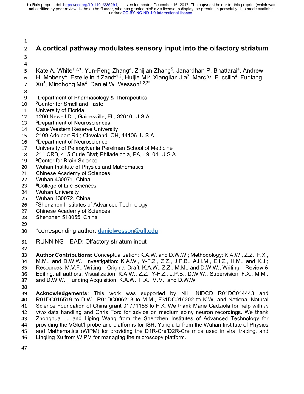 A Cortical Pathway Modulates Sensory Input Into the Olfactory Striatum 3 4 5 Kate A