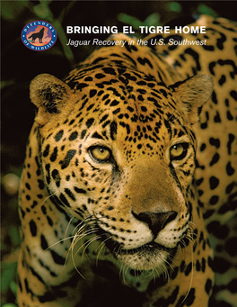 Bringing El Tigre Home: Jaguar Recovery in the U.S