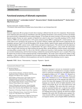 Functional Anatomy of Idiomatic Expressions