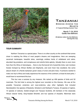 Tanzania: Birding Among the Beasts a Tropical Birding Custom Tour