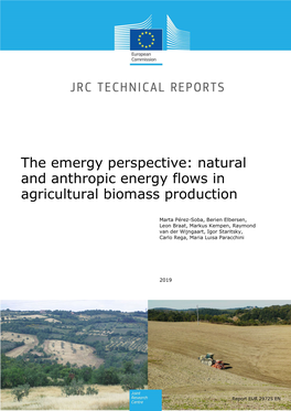 The Emergy Perspective: Natural and Anthropic Energy Flows in Agricultural Biomass Production