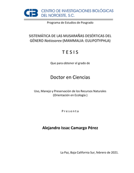 Camargo a TESIS.Pdf