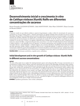 Desenvolvimento Inicial E Crescimento in Vitro De Cattleya Violacea (Kunth) Rolfe Em Diferentes Concentrações De Sacarose