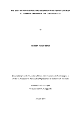 The Identification and Characterization of Resistance in Musa to Fusarium Oxysporum F.Sp Cubense Race 1