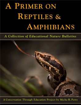 A Primer on Reptiles and Amphibians