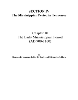 The Early Mississippian Period (AD 900-1100)