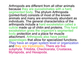 Arthropods Are Different from All Other Animals Because They Are Eucoelomates with a Hard, Segmented Body