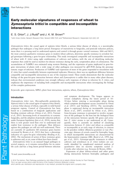 Early Molecular Signatures of Responses of Wheat to Zymoseptoria Tritici in Compatible and Incompatible Interactions