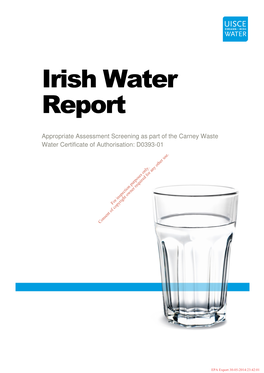 Irish Water Report