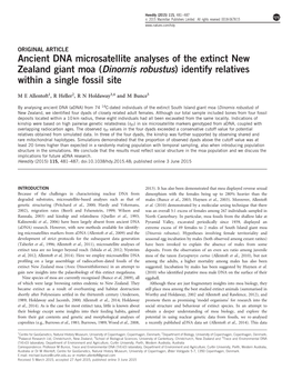Ancient DNA Microsatellite Analyses of the Extinct New Zealand Giant Moa (Dinornis Robustus) Identify Relatives Within a Single Fossil Site