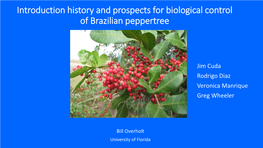 Brazilian Peppertree Project