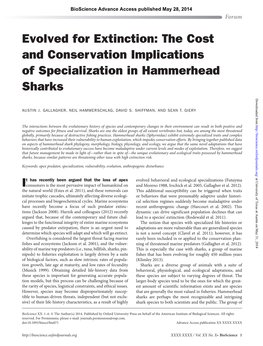 Evolved for Extinction: the Cost and Conservation Implications of Specialization in Hammerhead Sharks Downloaded From