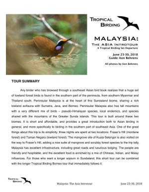 MALAYSIA: the ASIA Introtour a Tropical Birding Set Departure