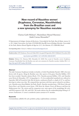 Scyphozoa, Coronatae, Nausithoidae) from the Brazilian Coast and a New Synonymy for Nausithoe Maculata
