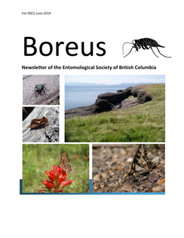 June 2019 Boreus Newsletter of the Entomological Society of British Columbia