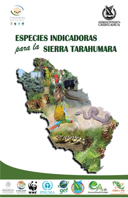 Catálogo De Especies Indicadoras Para Sierra Tarahumara