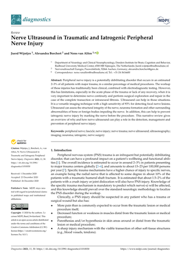 Nerve Ultrasound in Traumatic and Iatrogenic Peripheral Nerve Injury