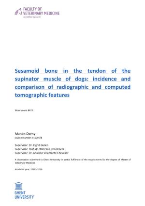 Sesamoid Bone in the Tendon of the Supinator Muscle of Dogs: Incidence and Comparison of Radiographic and Computed Tomographic Features