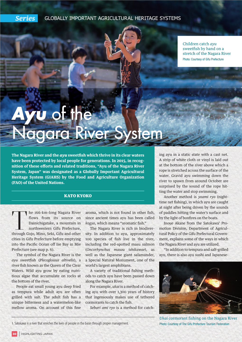 Ayu of the Nagara River System
