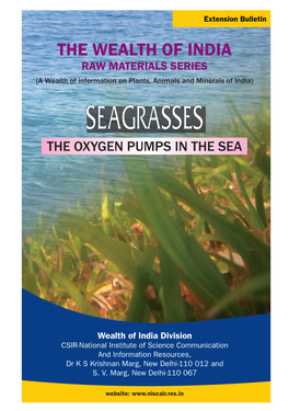 Extension Bulletin on Seagrasses