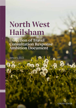Direction-Of-Travel-North-West-Hailsham-Ambition-Document-January-2021-(1).Pdf