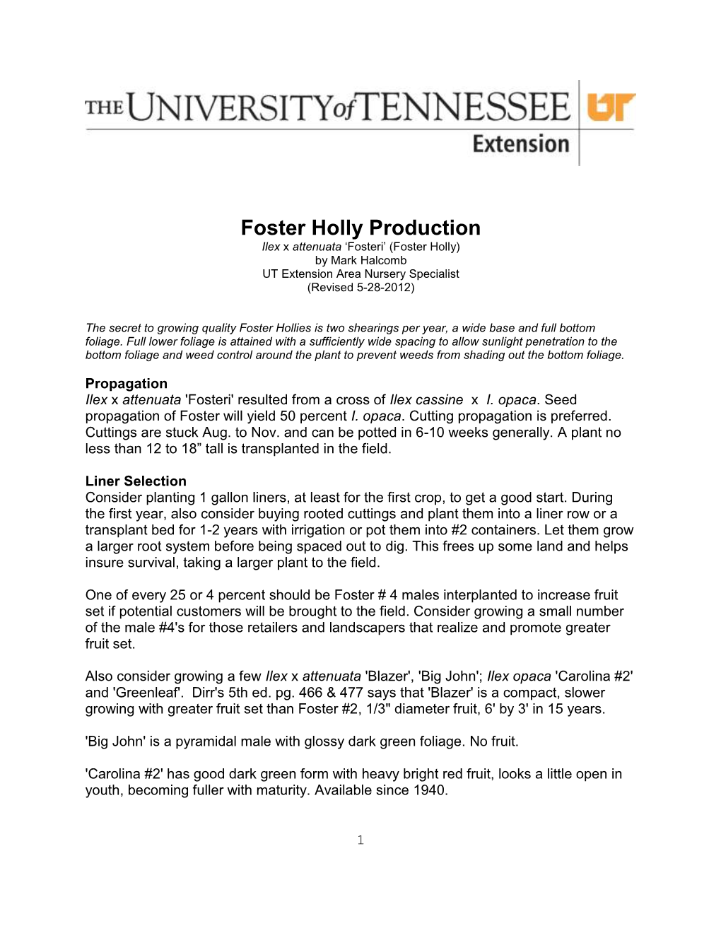 Foster Holly Production Ilex X Attenuata ‘Fosteri’ (Foster Holly) by Mark Halcomb UT Extension Area Nursery Specialist (Revised 5-28-2012)