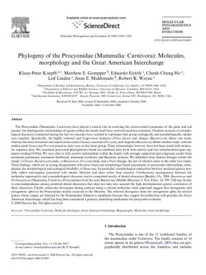 Phylogeny of the Procyonidae (Mammalia: Carnivora): Molecules, Morphology and the Great American Interchange
