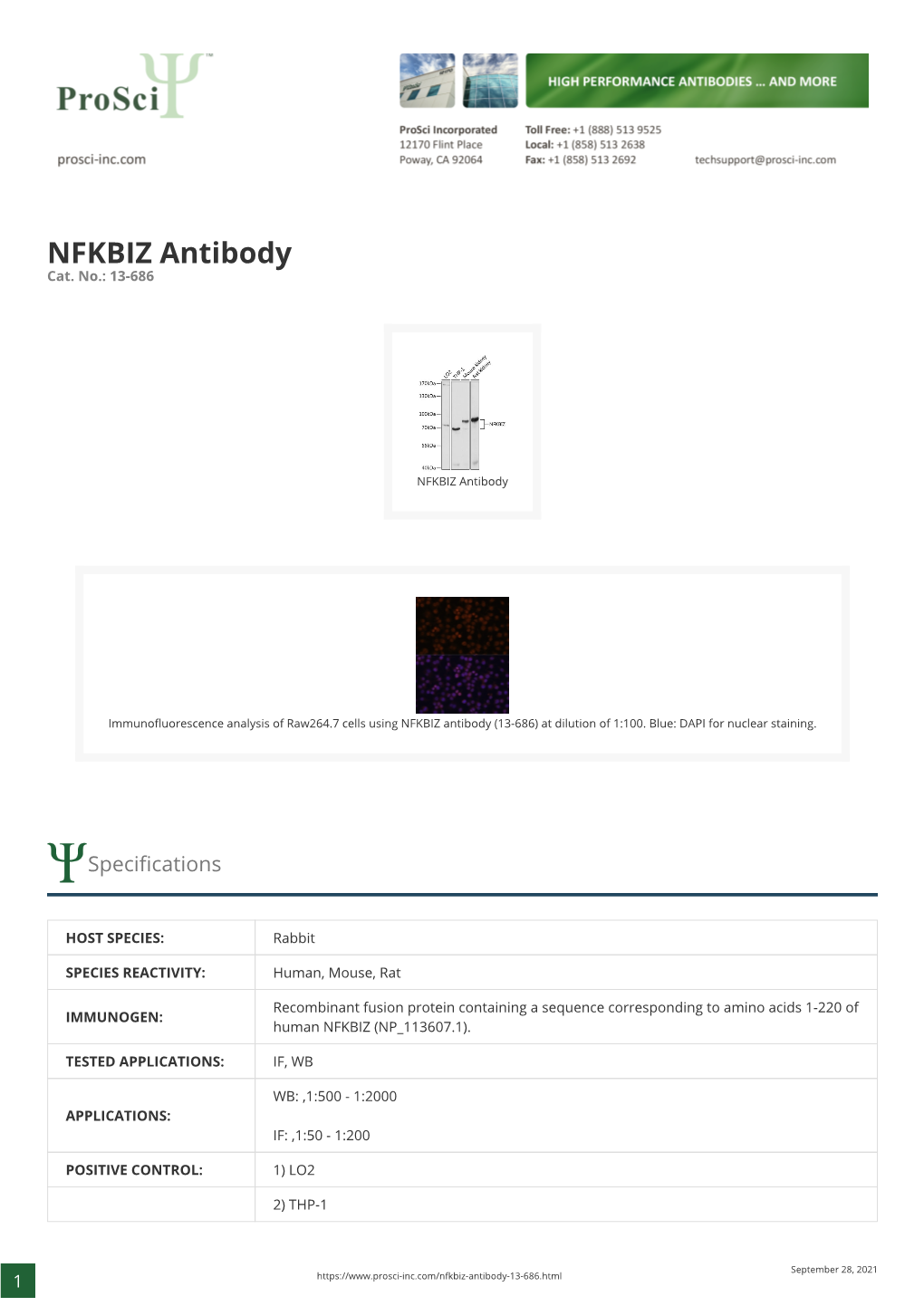 NFKBIZ Antibody Cat