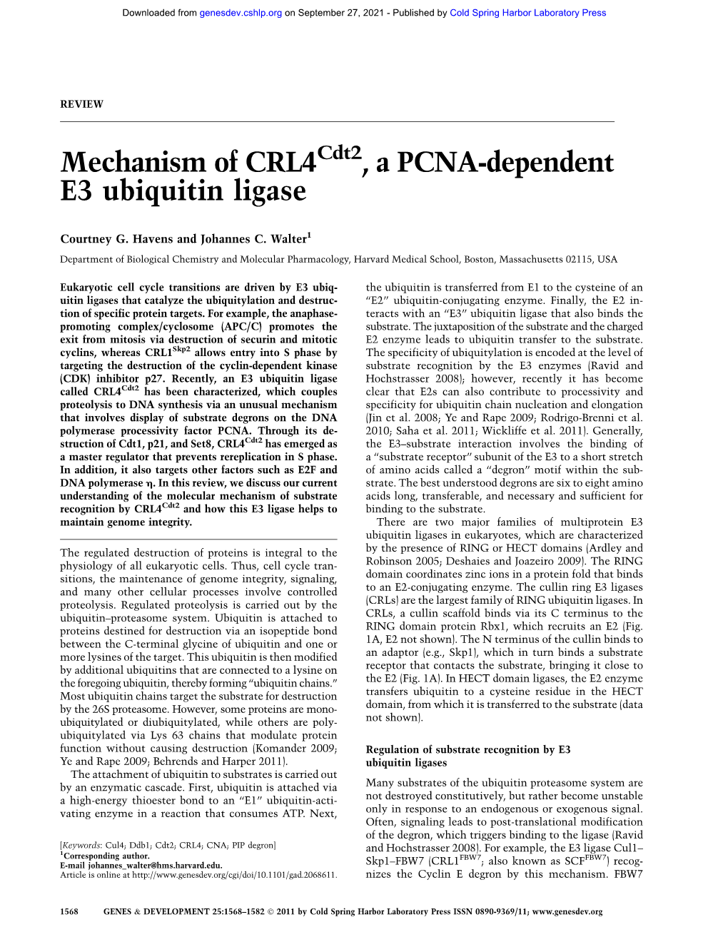 Mechanism of CRL4 , a PCNA-Dependent E3 Ubiquitin Ligase