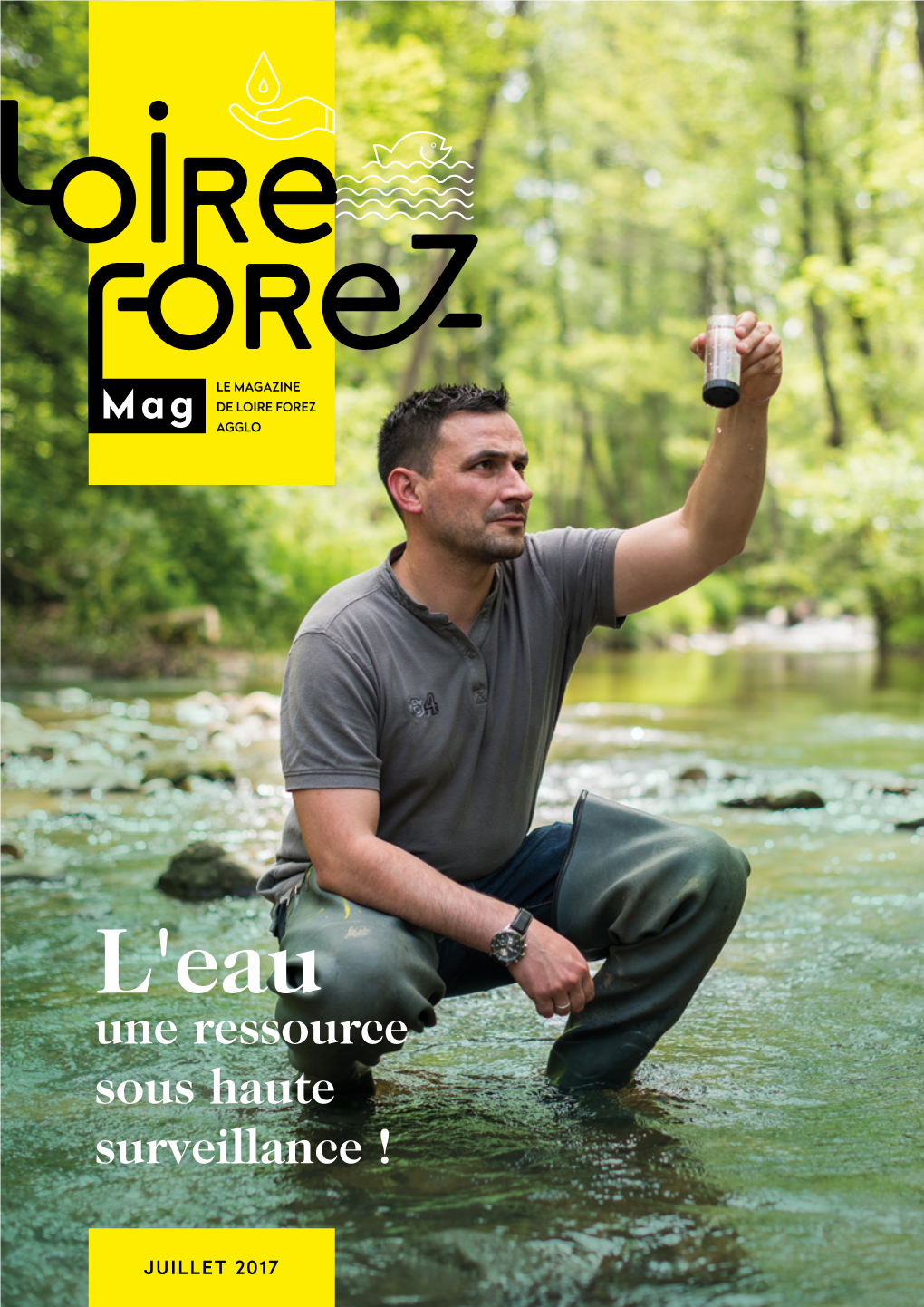 Télécharger Loire Forez