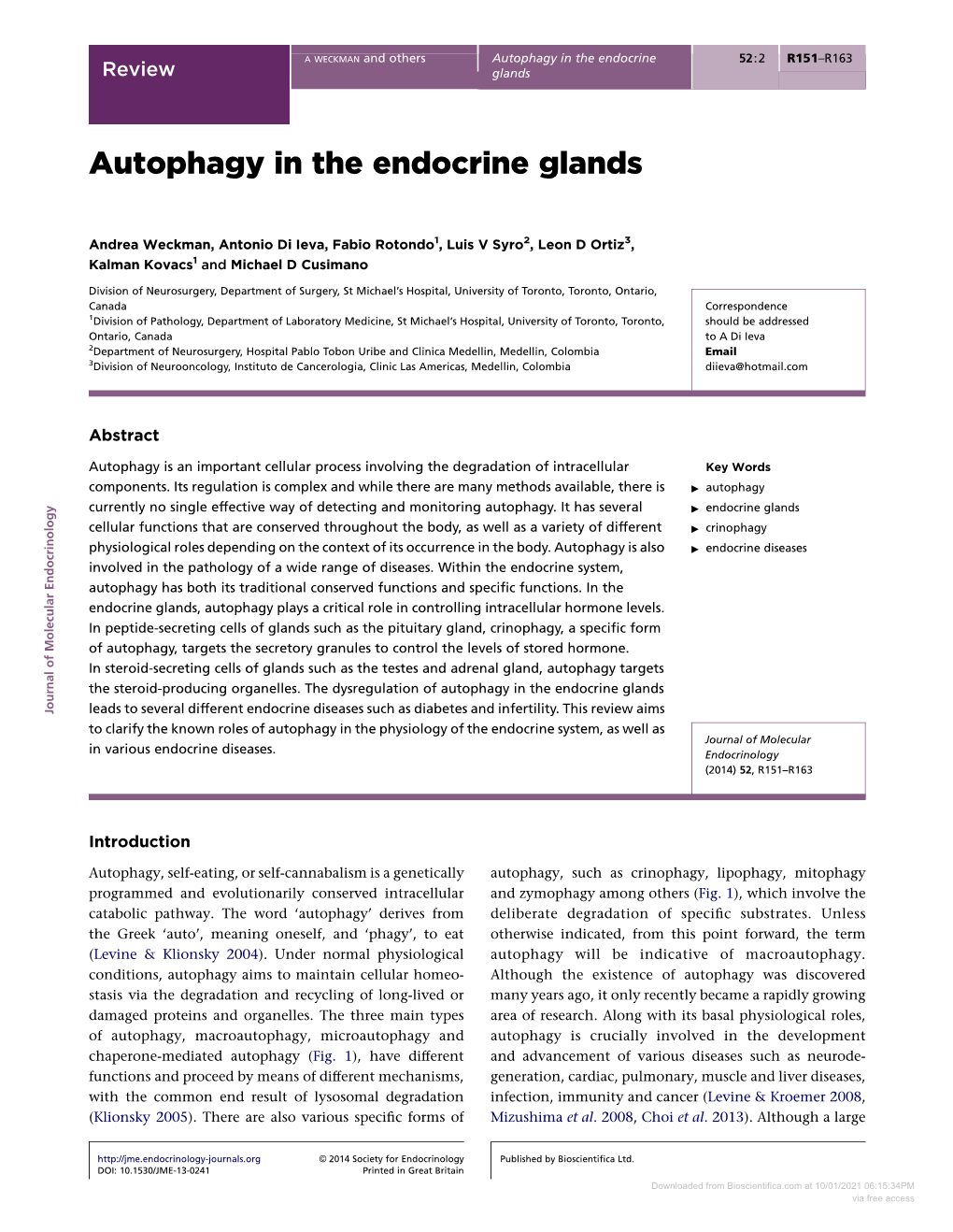 Autophagy in the Endocrine Glands