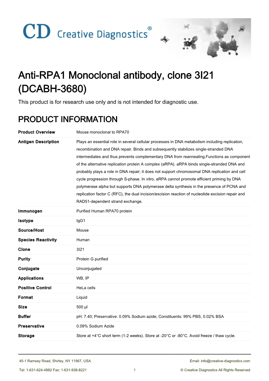 Anti-RPA1 Monoclonal Antibody, Clone 3I21 (DCABH-3680) This Product Is for Research Use Only and Is Not Intended for Diagnostic Use