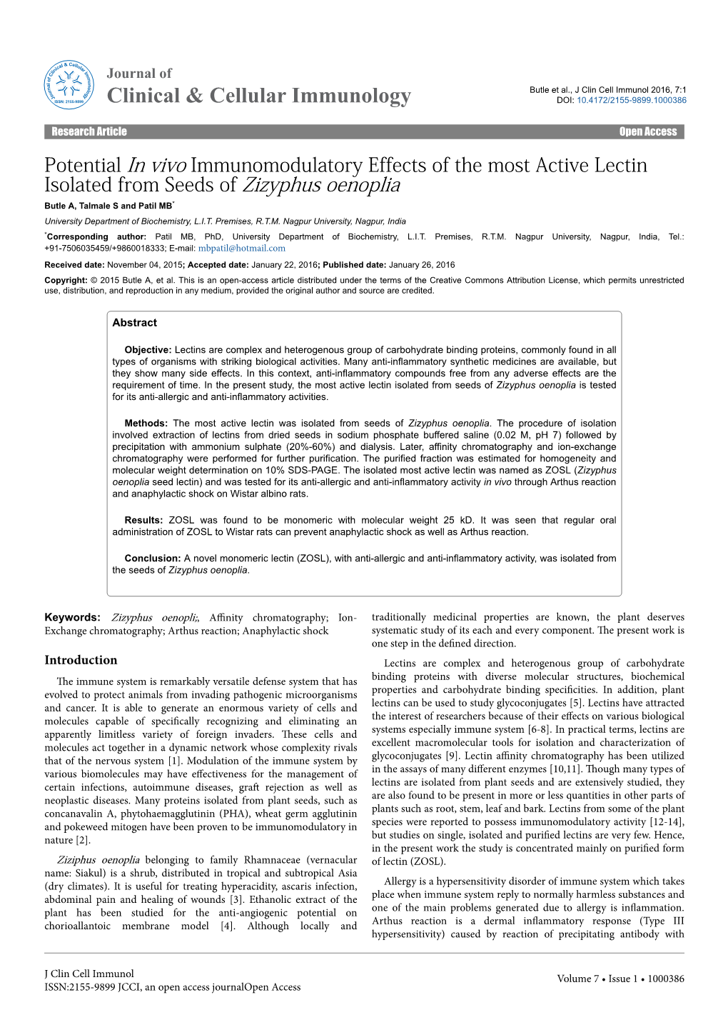 Potential in Vivo Immunomodulatory Effects of the Most Active Lectin Isolated from Seeds of Zizyphus Oenoplia