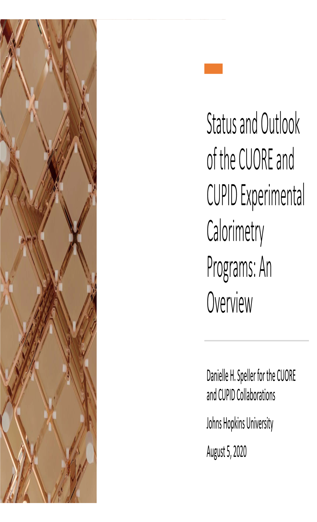 Status and Outlook of the CUORE and CUPID Experimental Calorimetry Programs: an Overview