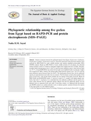Phylogenetic Relationship Among Five Geckos from Egypt