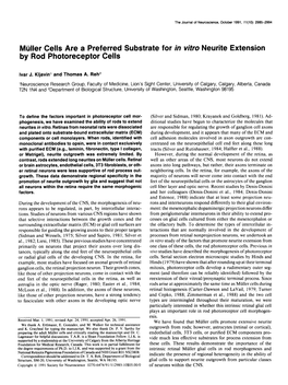 Miiller Cells Are a Preferred Substrate for in Vitro Neurite Extension by Rod Photoreceptor Cells