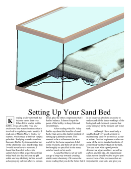 Setting up Your Sand Bed Eeping a Salt-Water Tank Has Level, Plus the Other Components That I Is No Longer an Absolute Necessity to Become Easier Than Ever