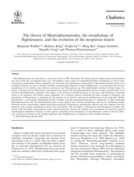 The Thorax of Mantophasmatodea, the Morphology of Flightlessness, And