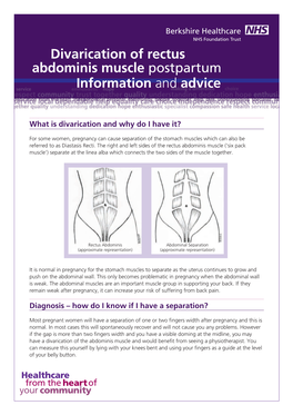 Divarication of Rectus Abdominis Muscle Postpartum Information And