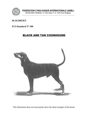 Black and Tan Coonhound
