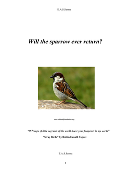 Will Sparrows Ever Return