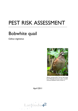 Pest Risk Assessment