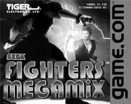 Fighters Megamix! Now the World Can See Who Really Are the Best in the World