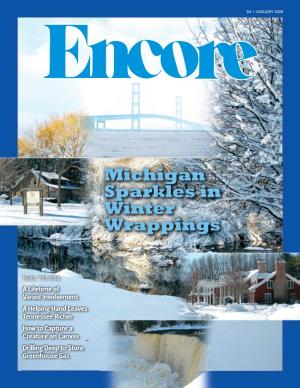 Michigan Sparkles in Winter Wrappings