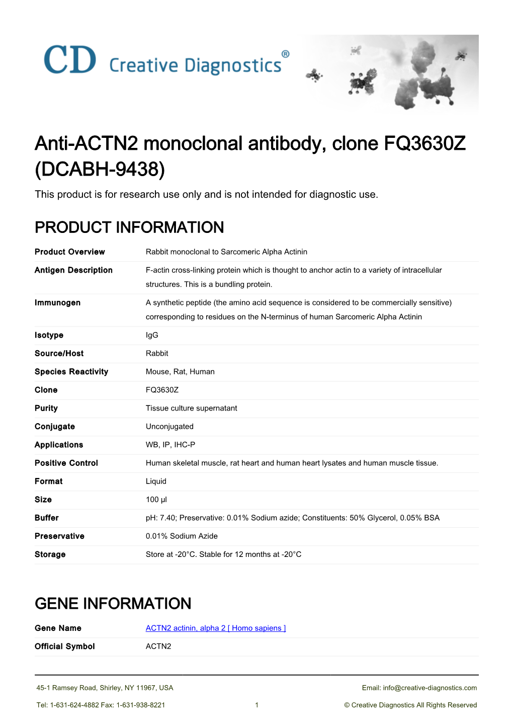 Anti-ACTN2 Monoclonal Antibody, Clone FQ3630Z (DCABH-9438) This Product Is for Research Use Only and Is Not Intended for Diagnostic Use